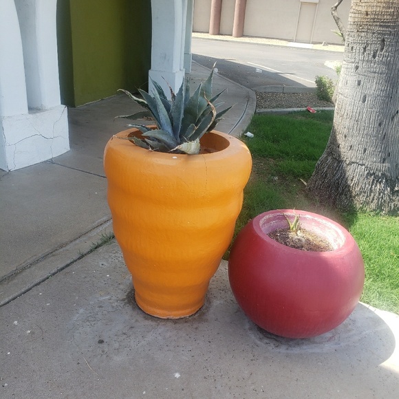 Meet your Posher, Tj - Picture 1 of 1